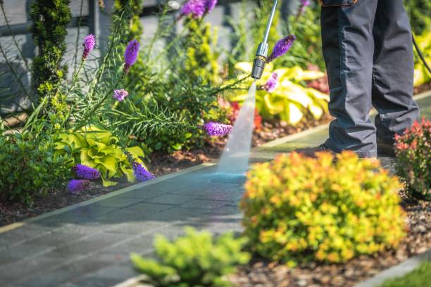 Trusted East Lake Orient Park, FL  Pressure Washing Services Experts