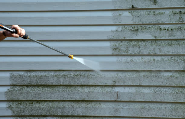Best Driveway Pressure Washing  in East Lake Orient Park, FL