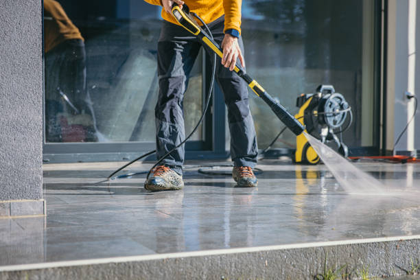 Best Roof Washing  in East Lake Orient Park, FL
